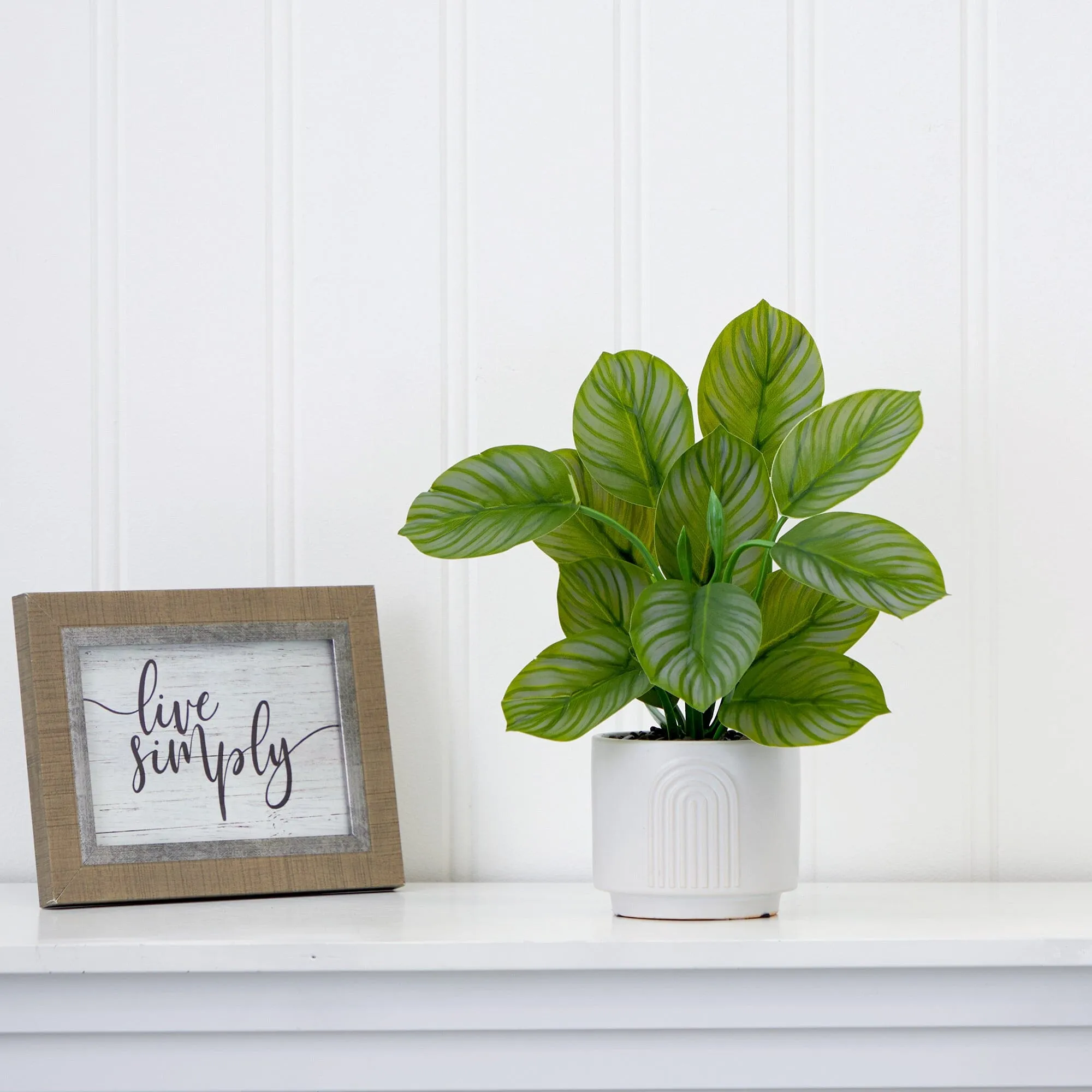 12" Artificial Calathea Plant with Decorative Planter