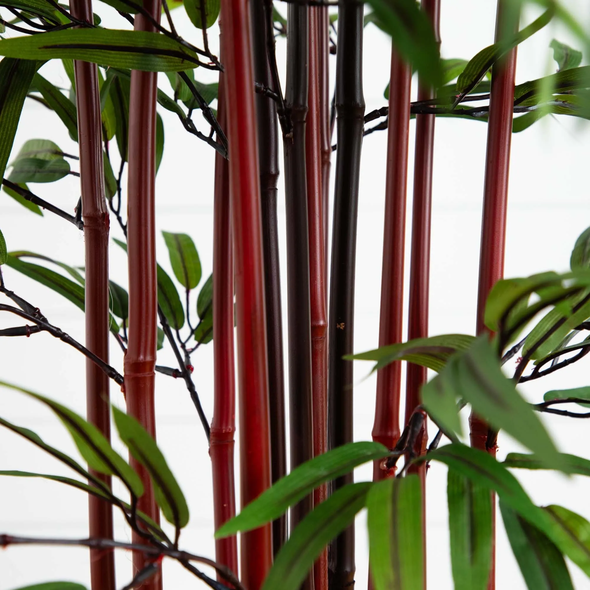 5’ Bamboo Silk Tree w/Planter