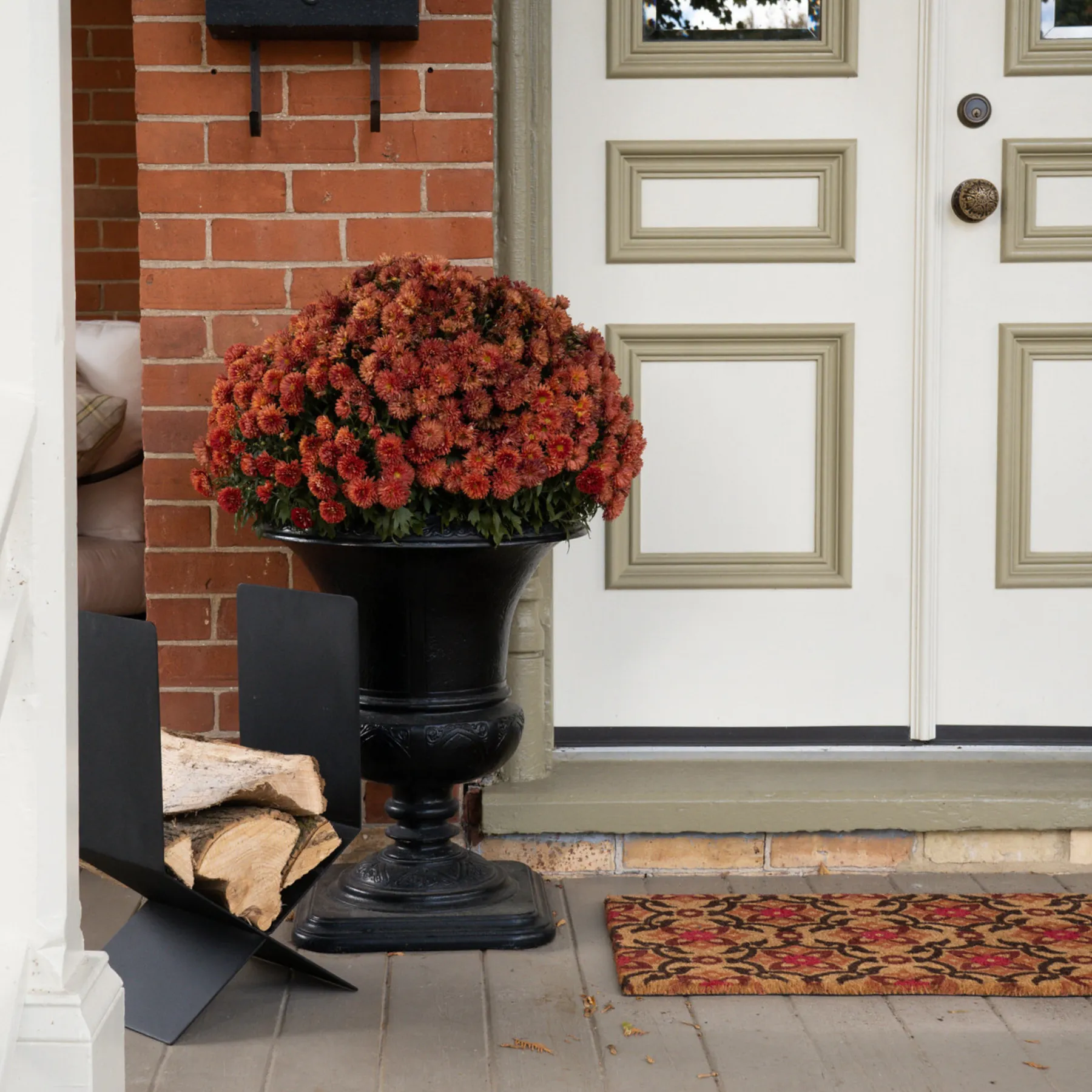 Enchanted Door Mat