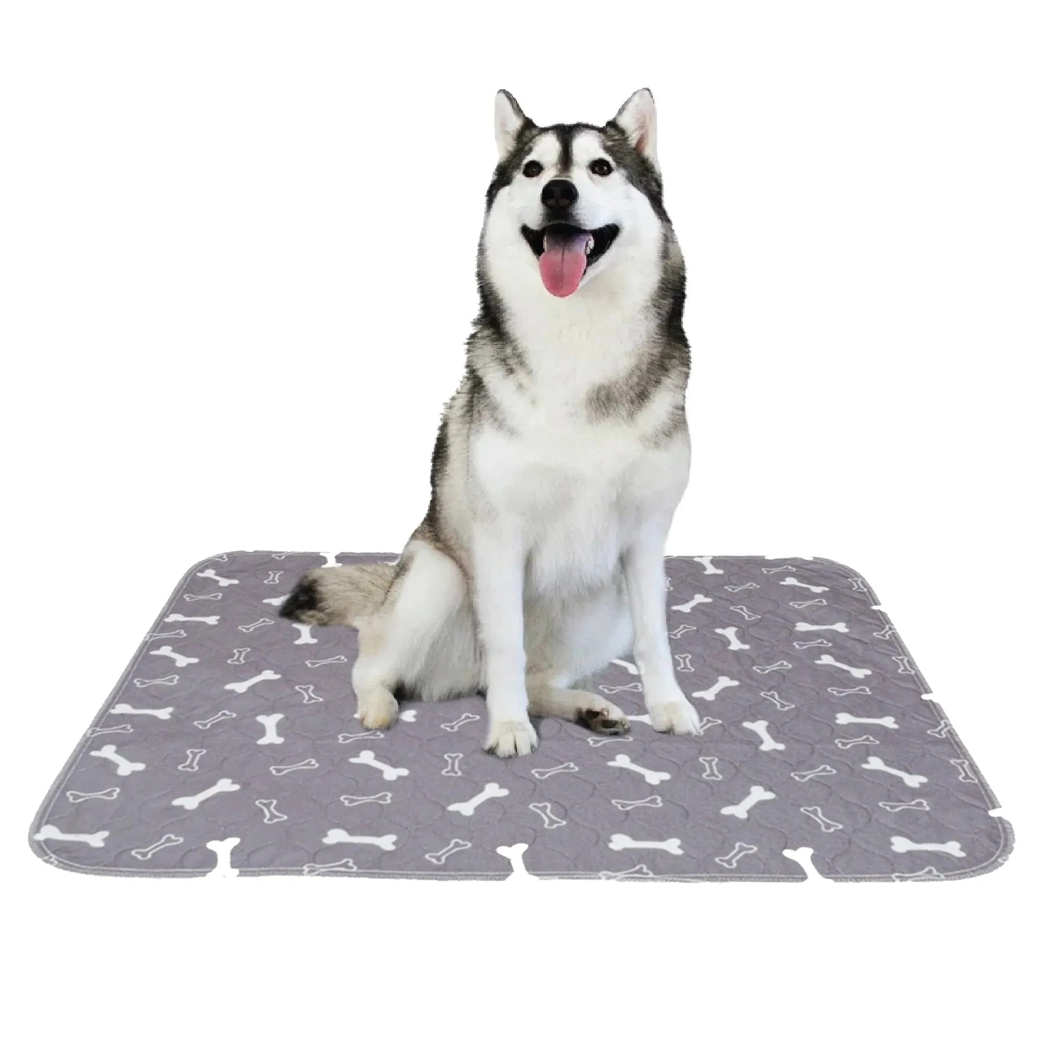 Goofy Tails Reusable Pee Pads for Dogs and Puppies-Bone Print (90x80 cm)