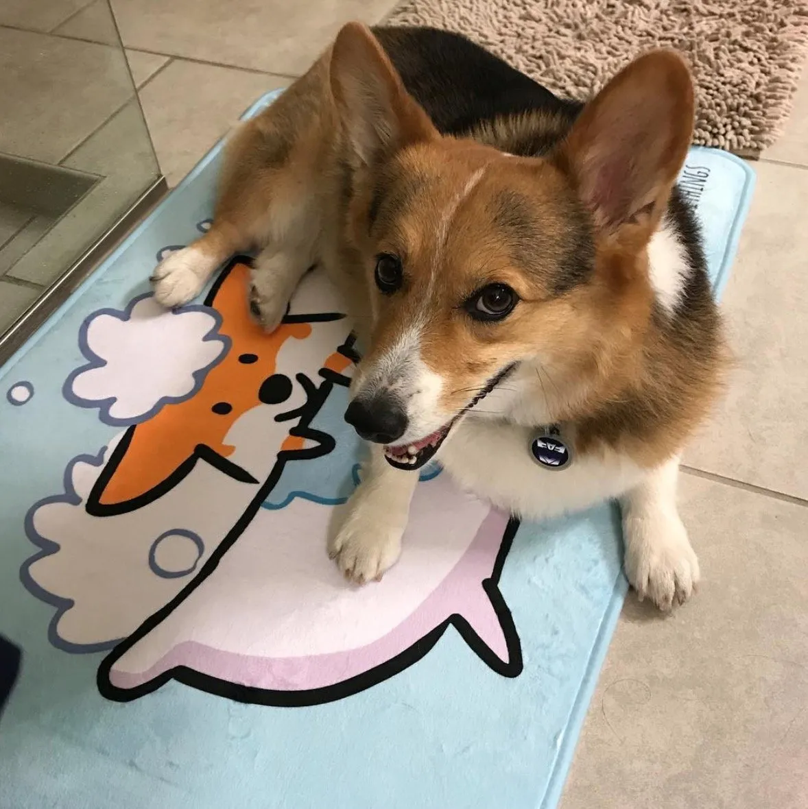 Red Corgi Bath Mat | 2 Sizes