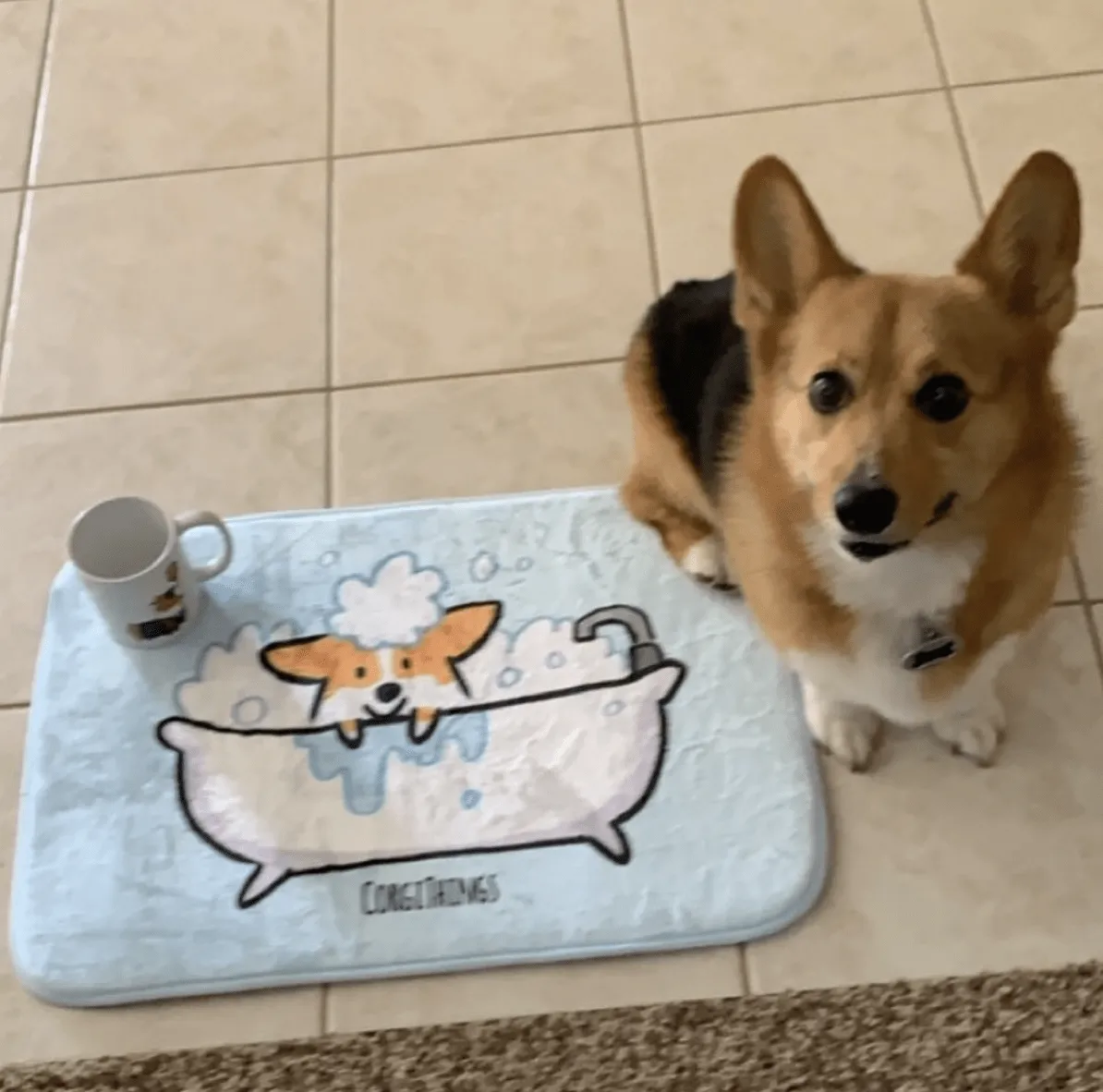 Red Corgi Bath Mat | 2 Sizes