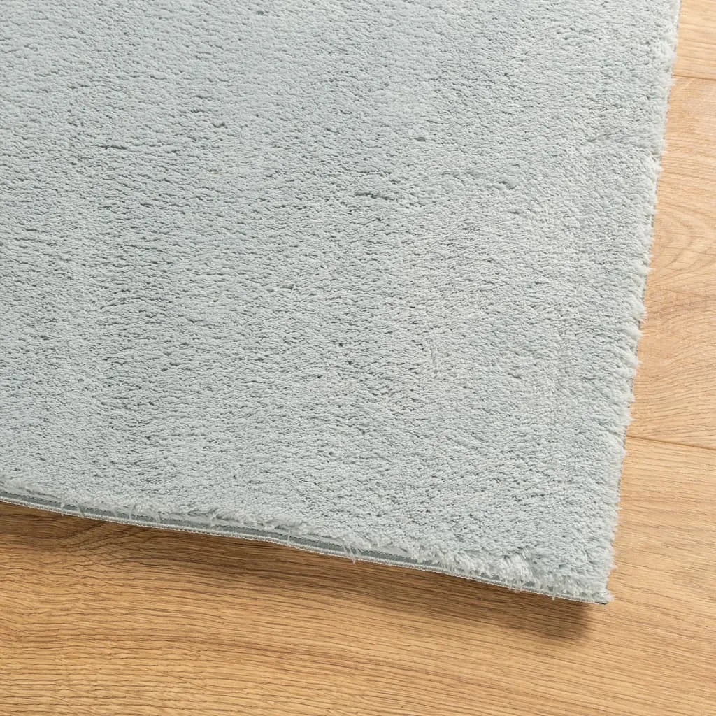 Rug HUARTE Short Pile Soft and Washable Blue 100x200 cm