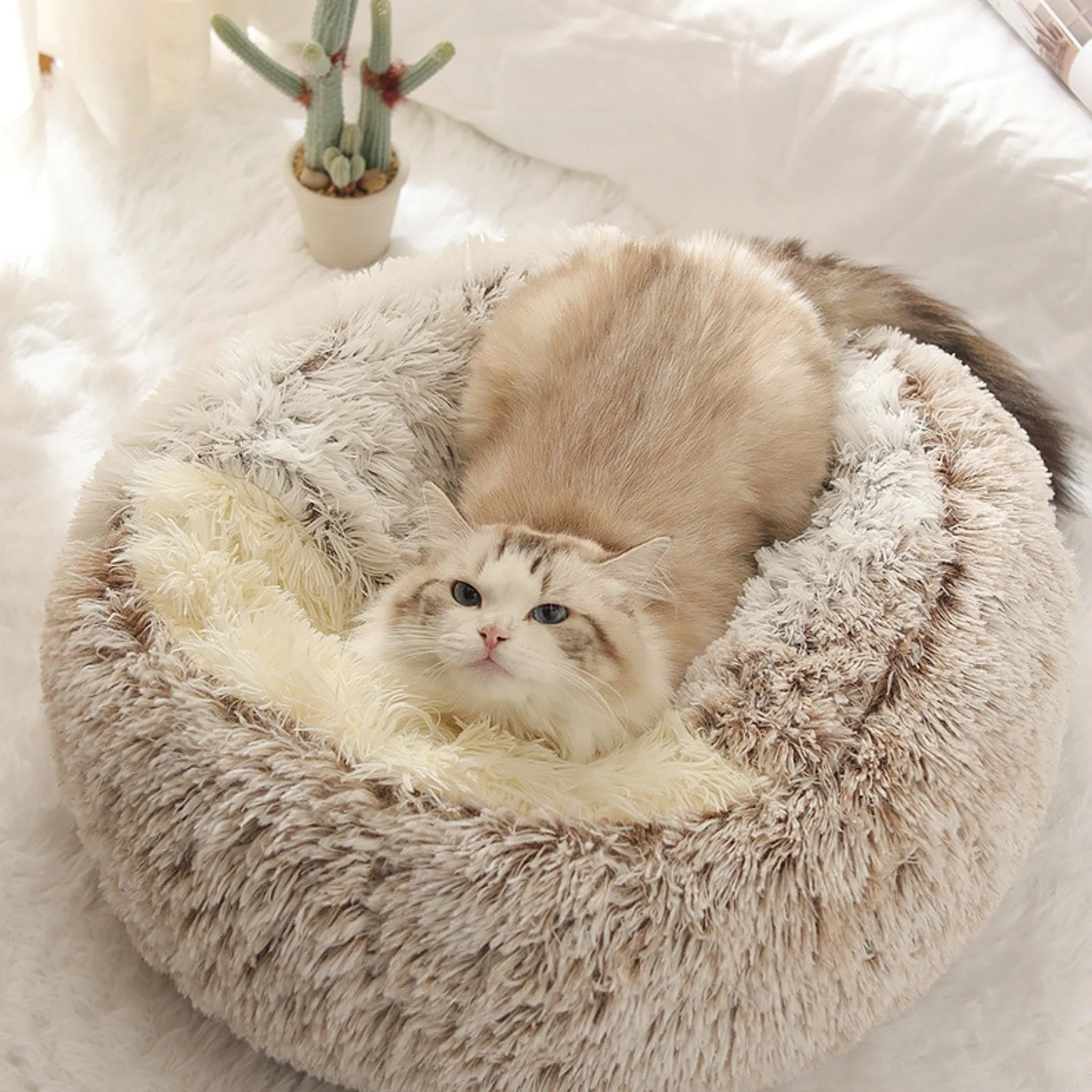 Soft Plush Pet Cave Bed for Medium Sized Cats & Dogs